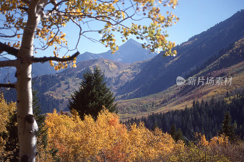 观看圣丹斯滑雪斜坡和Mount Timpanogos圣丹斯犹他州